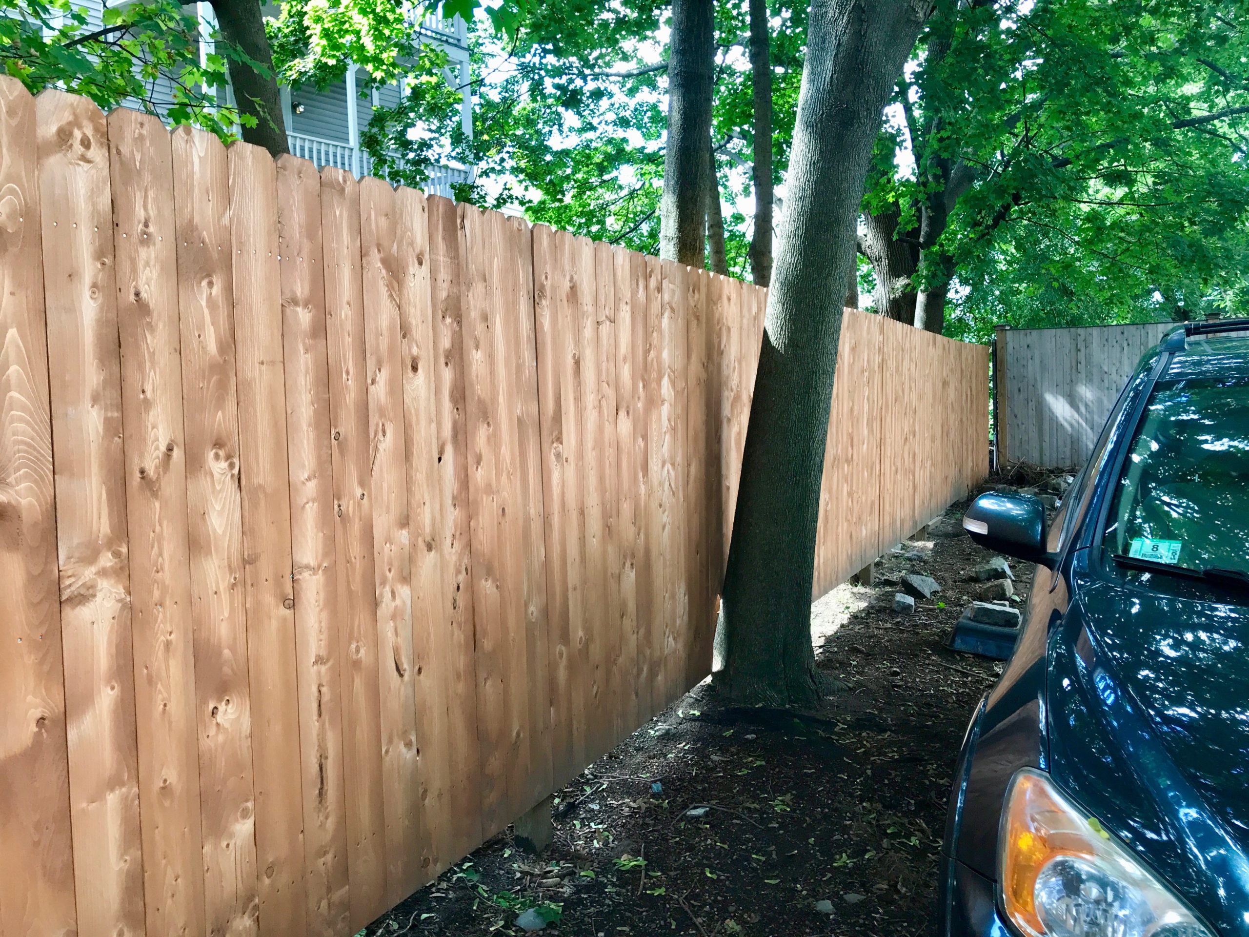 Fence replacement | Mittra Productive Landscapes